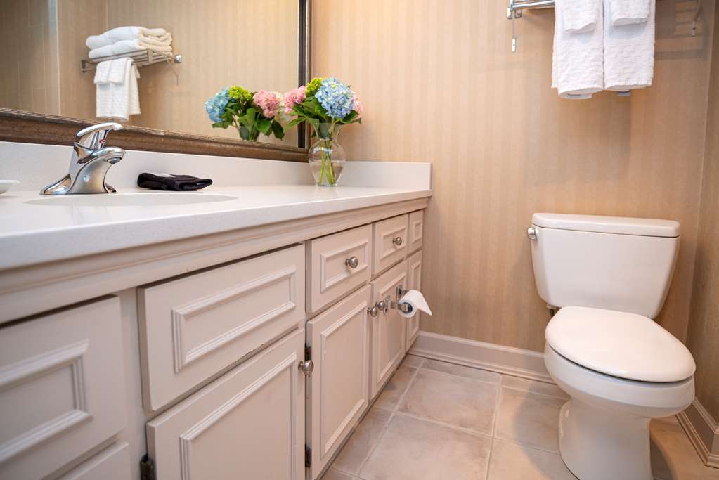 Best Western Dorchester Hotel in Nanaimo: Standard Double Bathroom