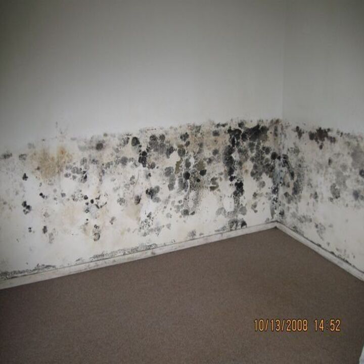 Images A-1 Mold Testing & Remediation Services