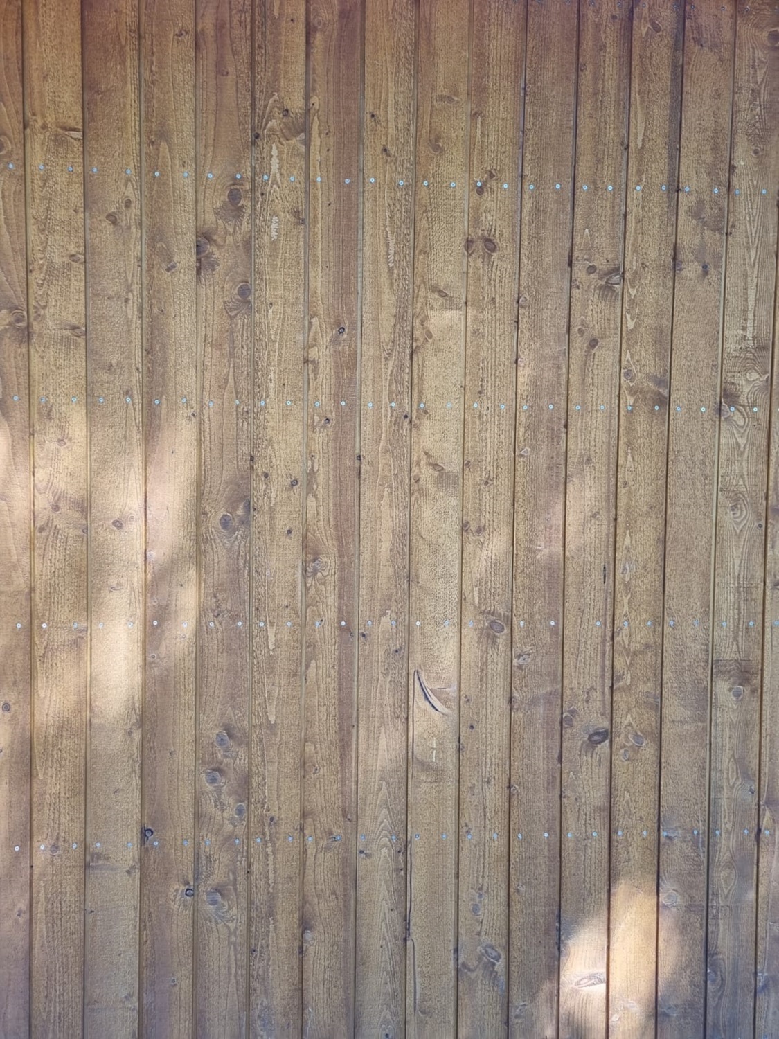 KastWood egles un priedes bruses eksportam