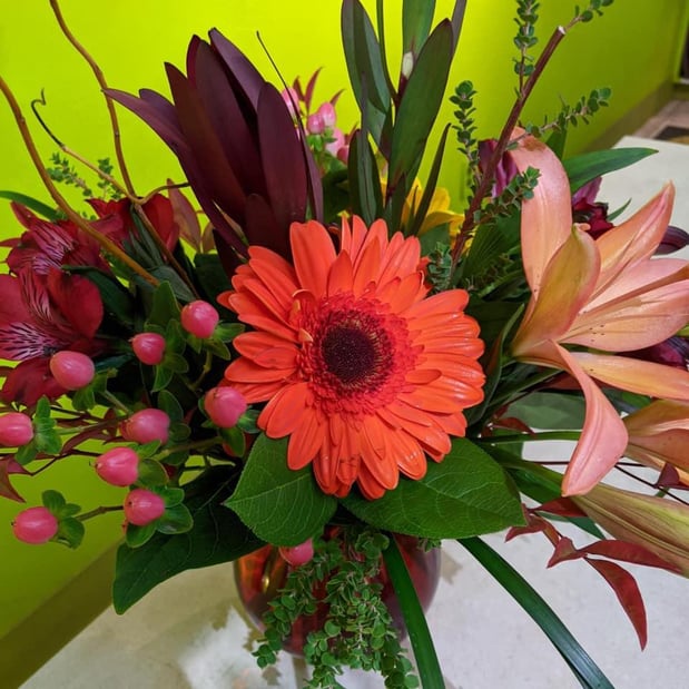 Images Abloom
