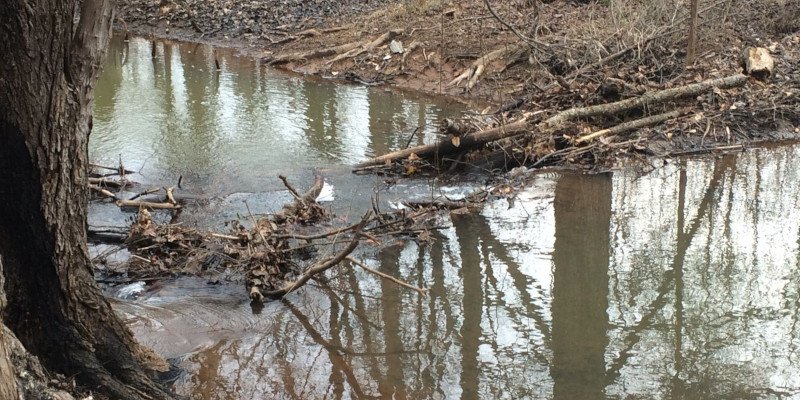 Our dedicated team specializes in building, repairing, and maintaining ponds.