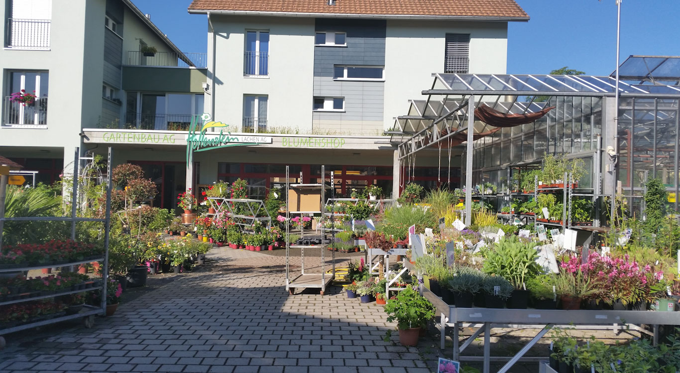 Bilder hollenstein blumengarten ag-Blumenshop-Gärtnerei-Gartenbau-Unterhalt-Grabpflege