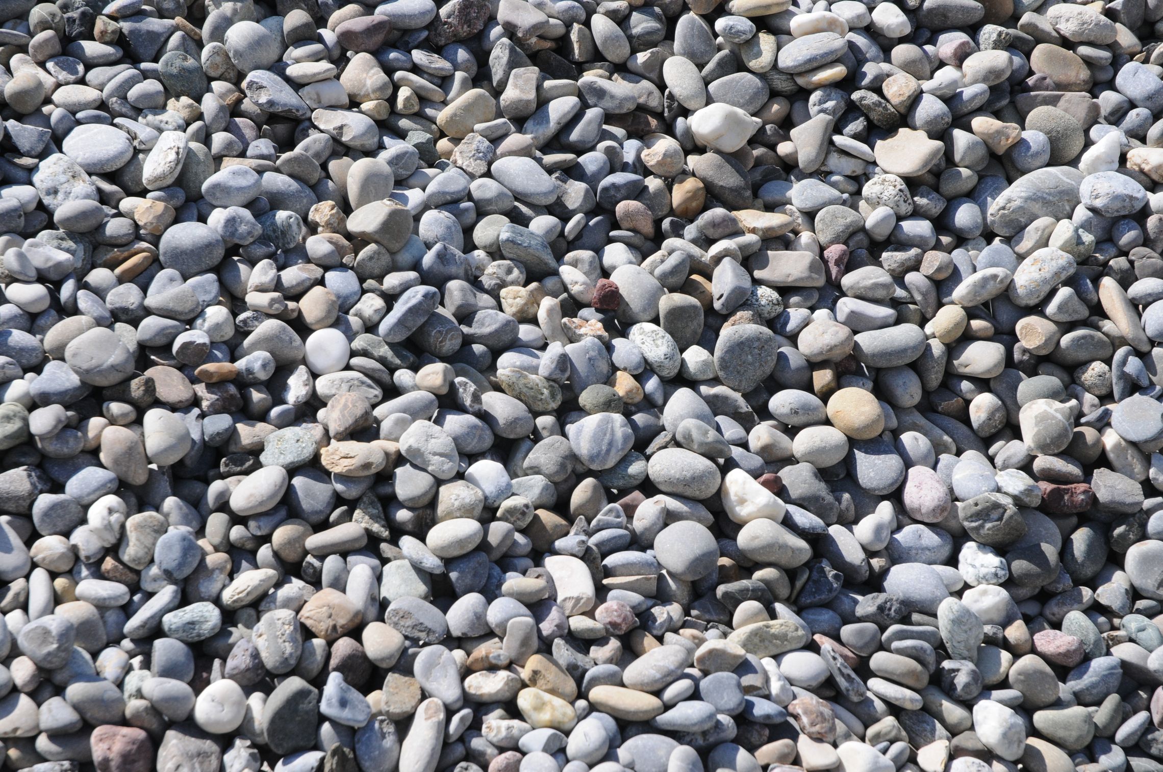 Bilder Otto Scerri SA