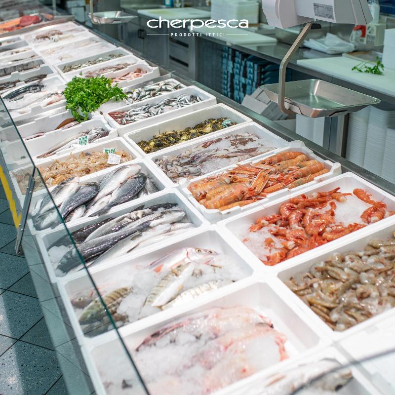 Images Cherpesca Srl