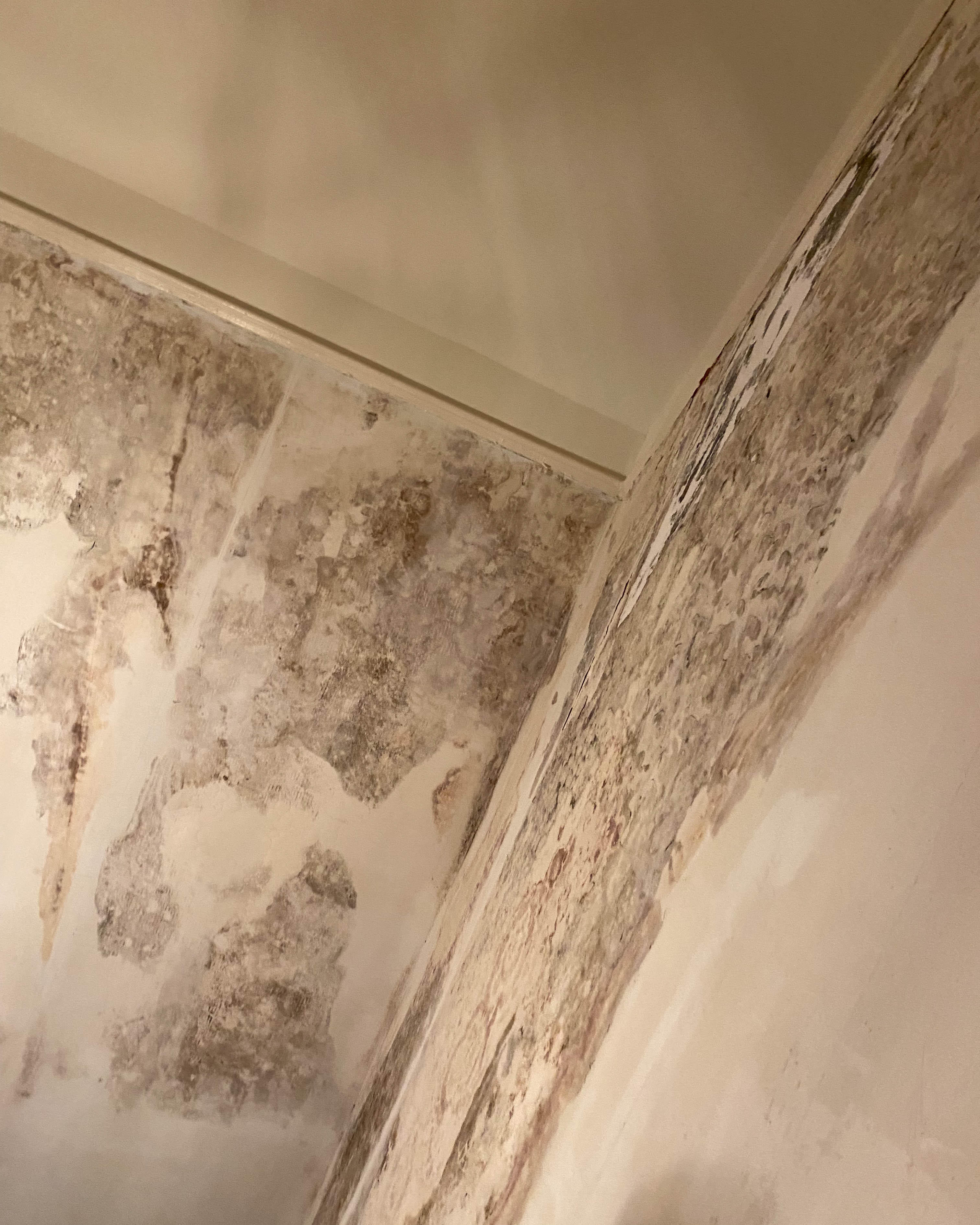 It's possible to discover mold in unexpected places after water damage. Mold will grow and spread if you ignore it. Rely on SERVPRO of St. Louis County NW for all of your mold damage cleanup and remediation needs in Creve Coeur, MO. Give us a call!