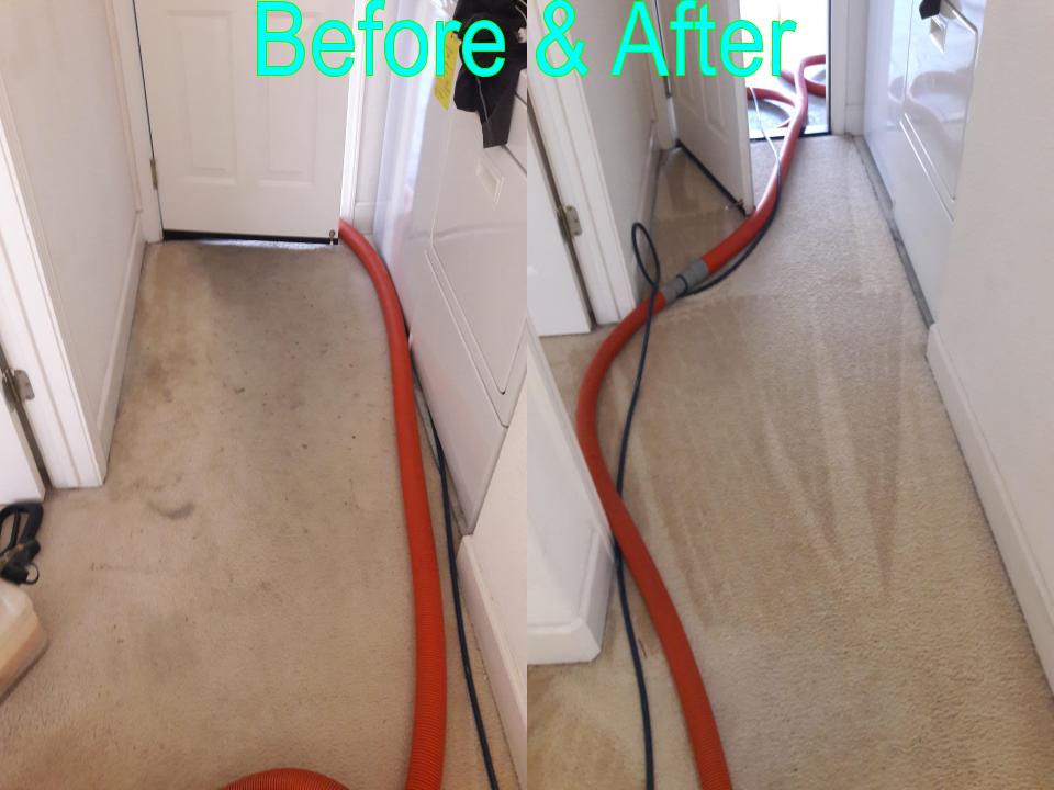 Able Body Carpet & Restoration Photo