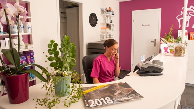 Images Fyra Ben Smådjursklinik