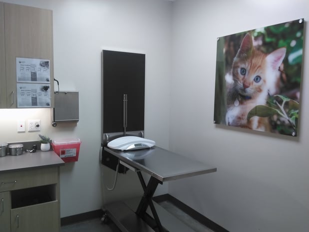 Images Vetco Total Care Animal Hospital