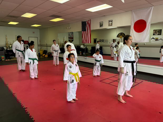 Images Jaguar Dojo