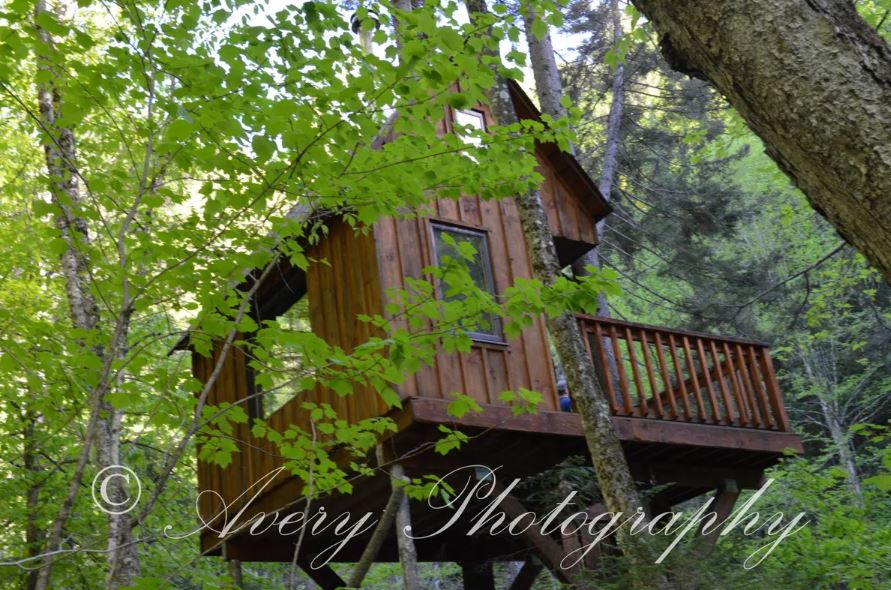 Avery Photography Logo