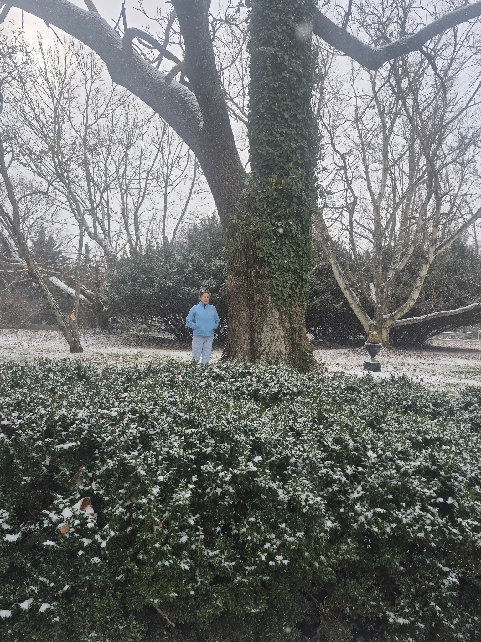 BB Tree & Landscape Company Image