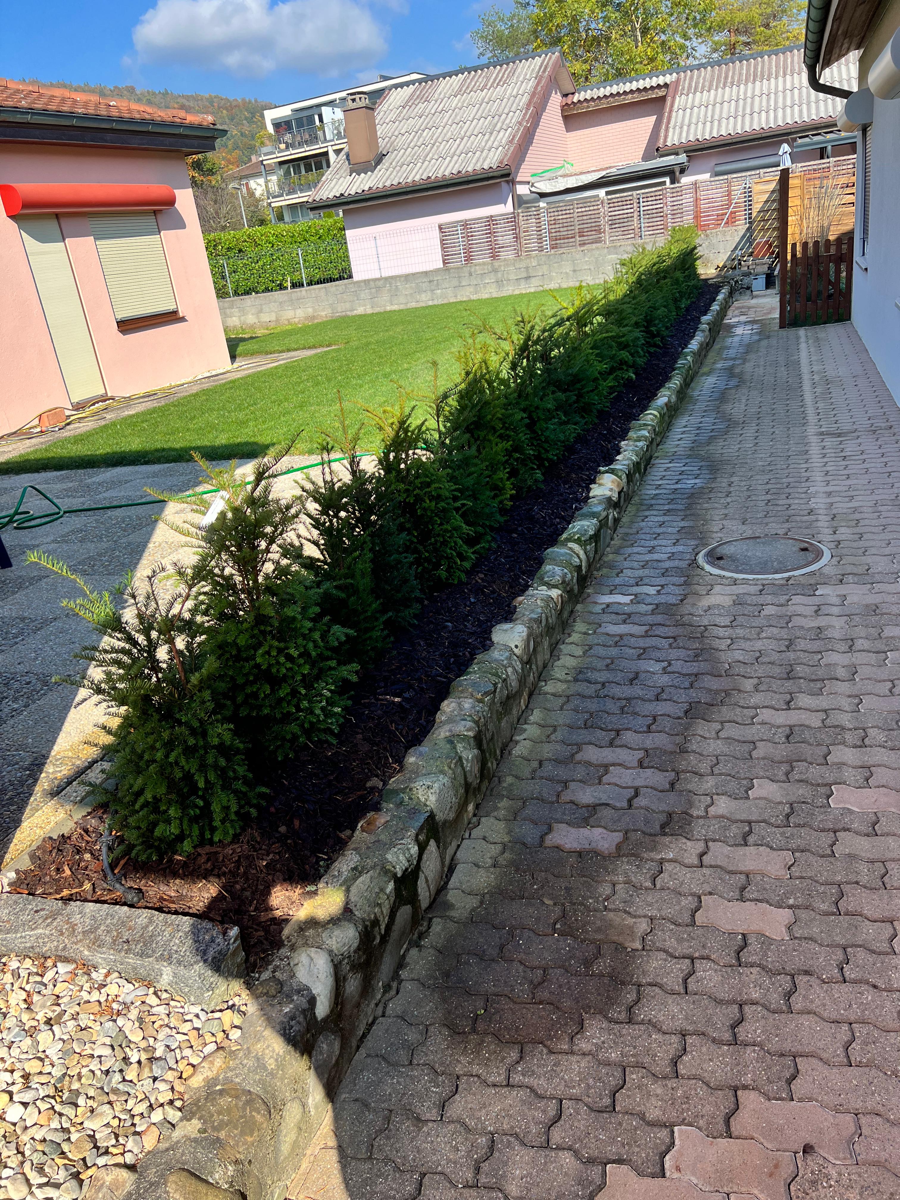 Bilder Votre Jardin de A à Z Sàrl