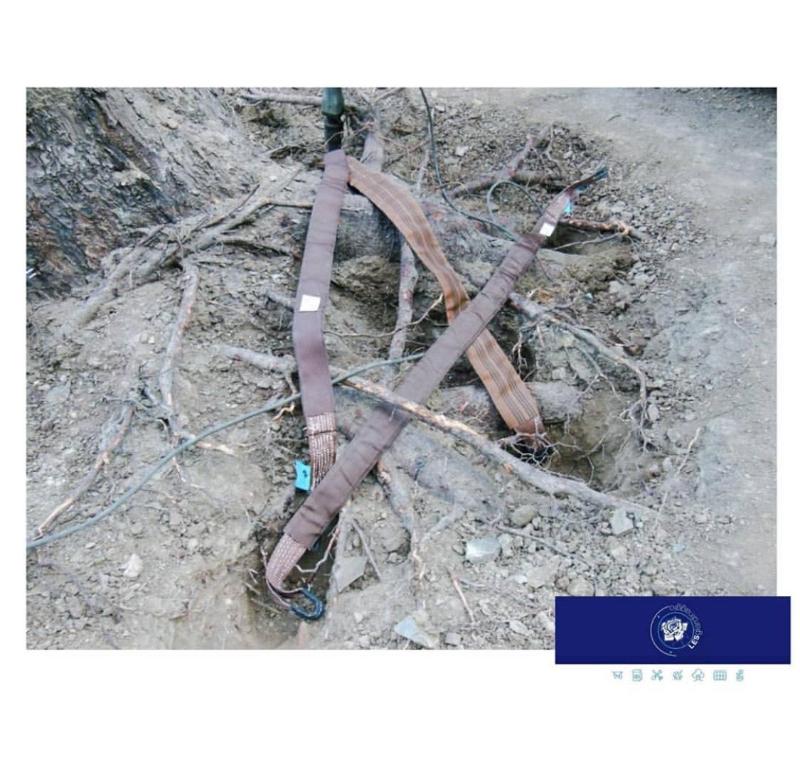 Images Les Giardinaggio