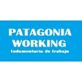 Patagonia Working Neuquén 0299 531-6935