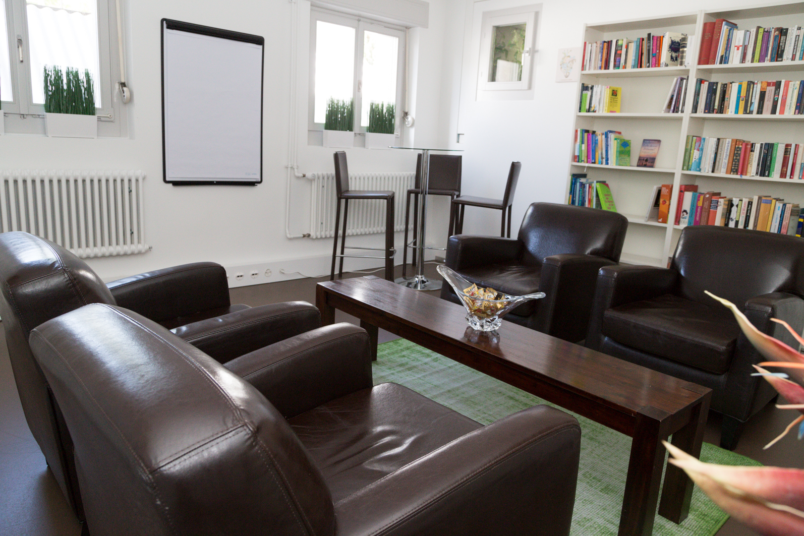 Coaching Institut Living Sense GmbH, Sonnenbergstrasse 36 in Zürich