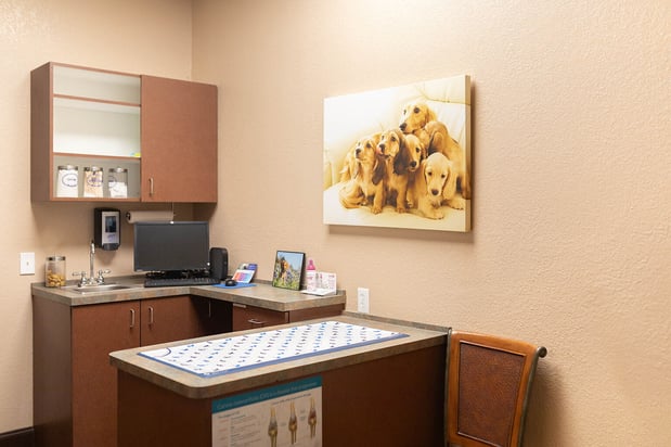 Images VCA Angel Animal Hospital