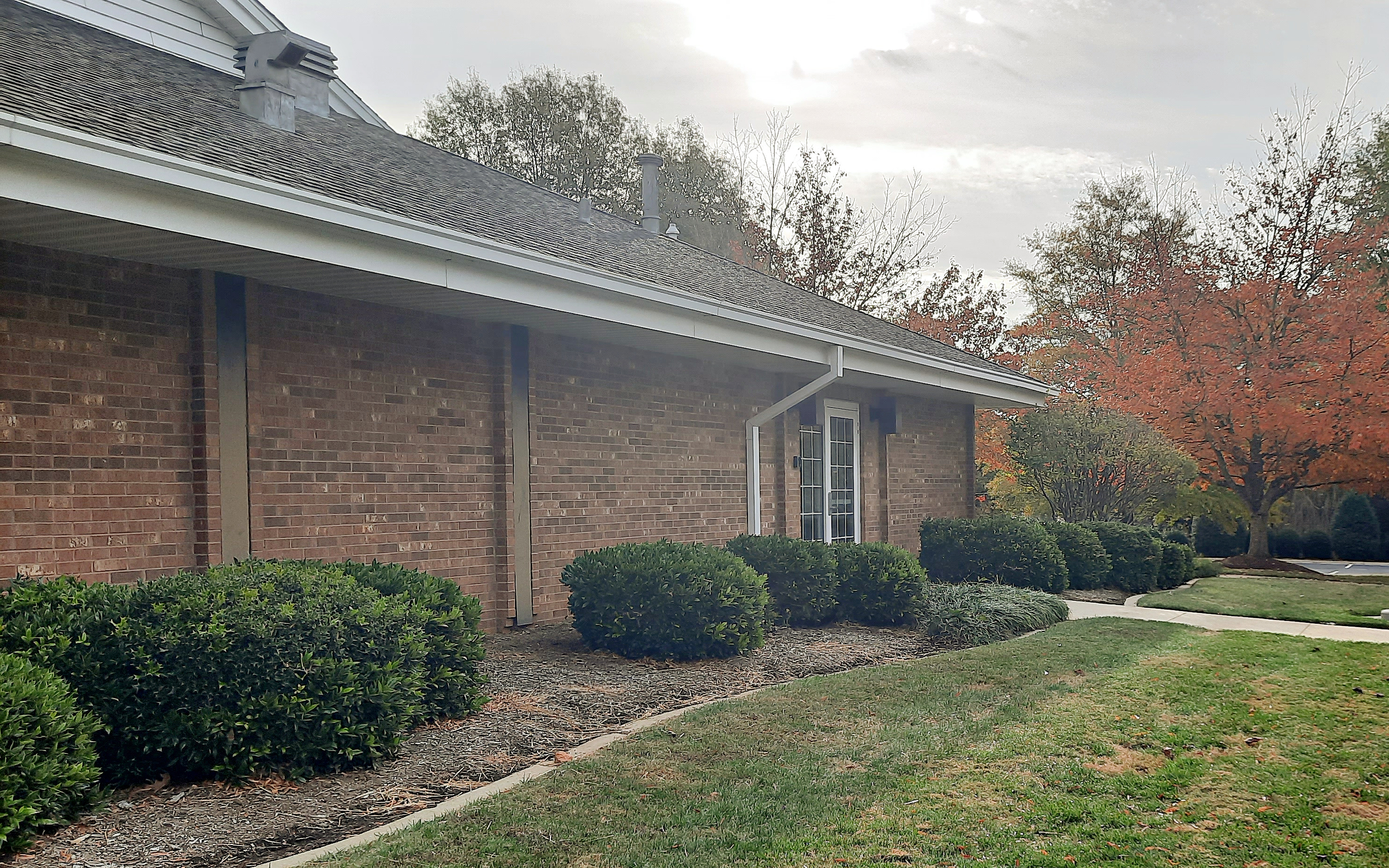 The Church of Jesus Christ of Latter-day Saints Image