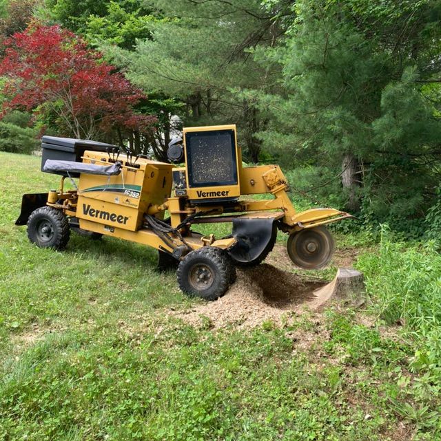 Images Precision Stump Grinding
