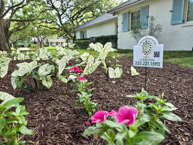 Images Lions Landscaping