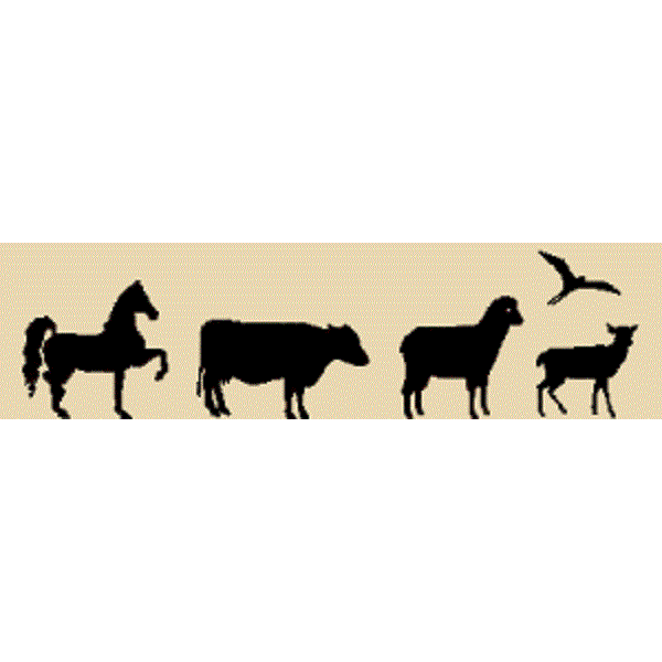 Tierarztpraxis Taxacher Logo