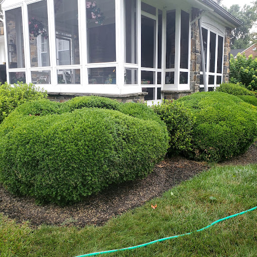 Image 6 | Hodge & Andrea: Landscaping & Lawn Care