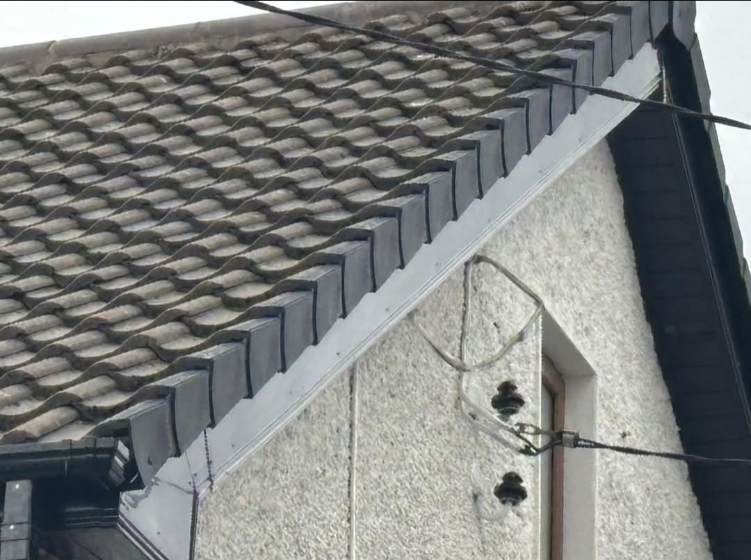 Noble Roofing and Guttering 6