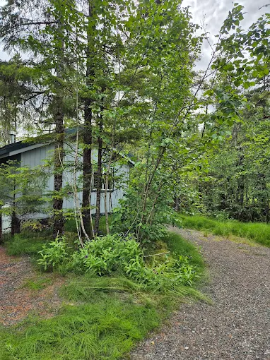 The Cottonwood Lodge & Cabin Rentals Image