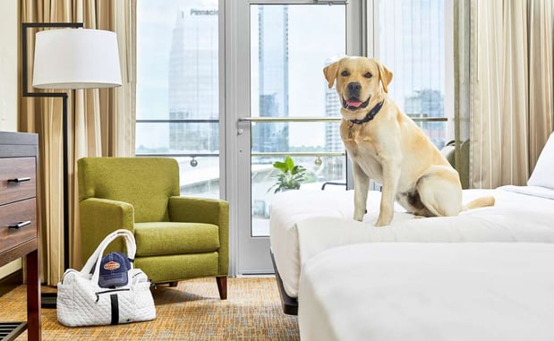 Images Embassy Suites by Hilton Nashville Downtown