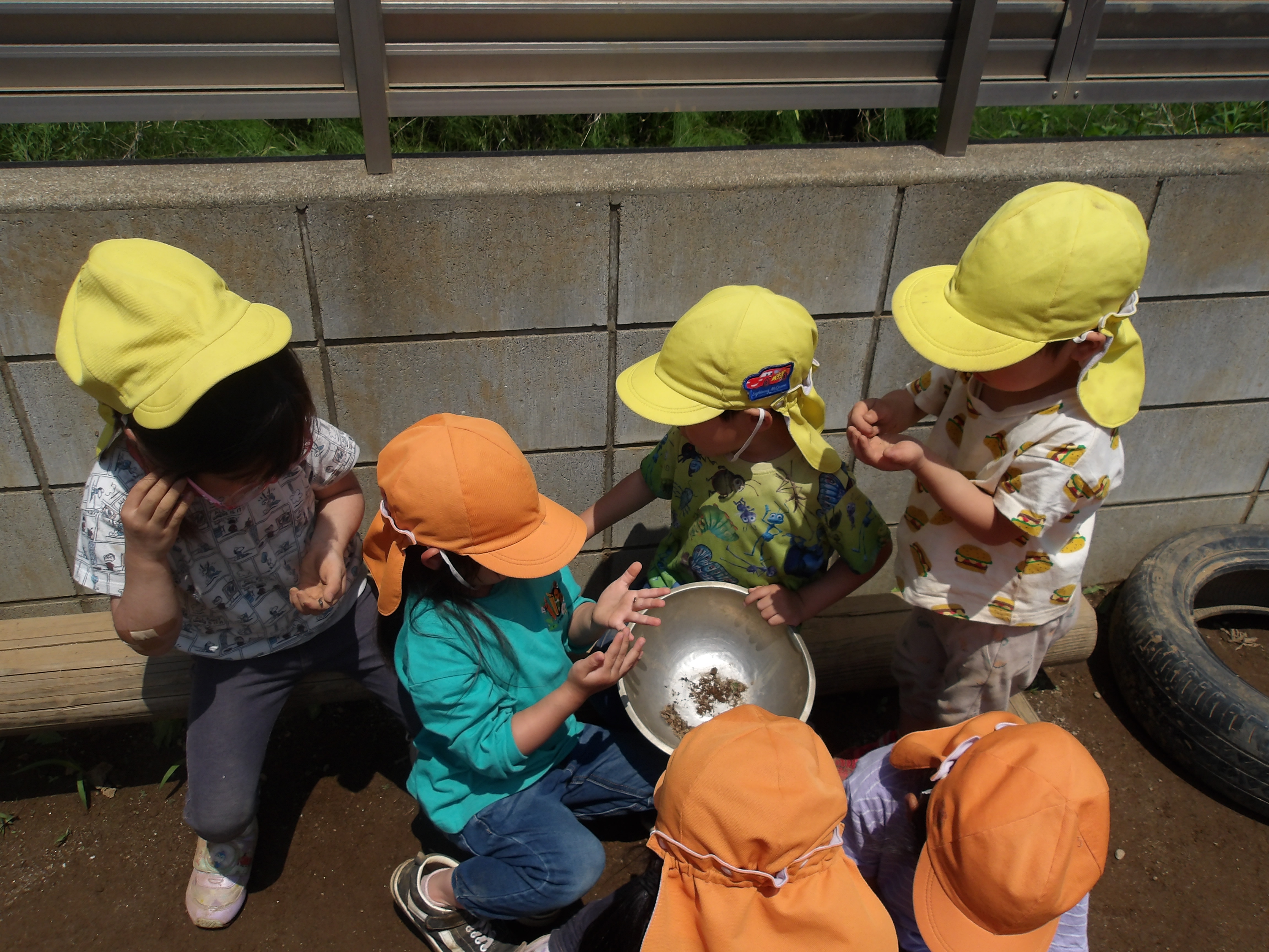 Images 船橋法典すきっぷ保育園