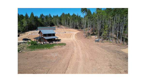 Images Bird High View