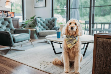 Knepp Financial Group Image