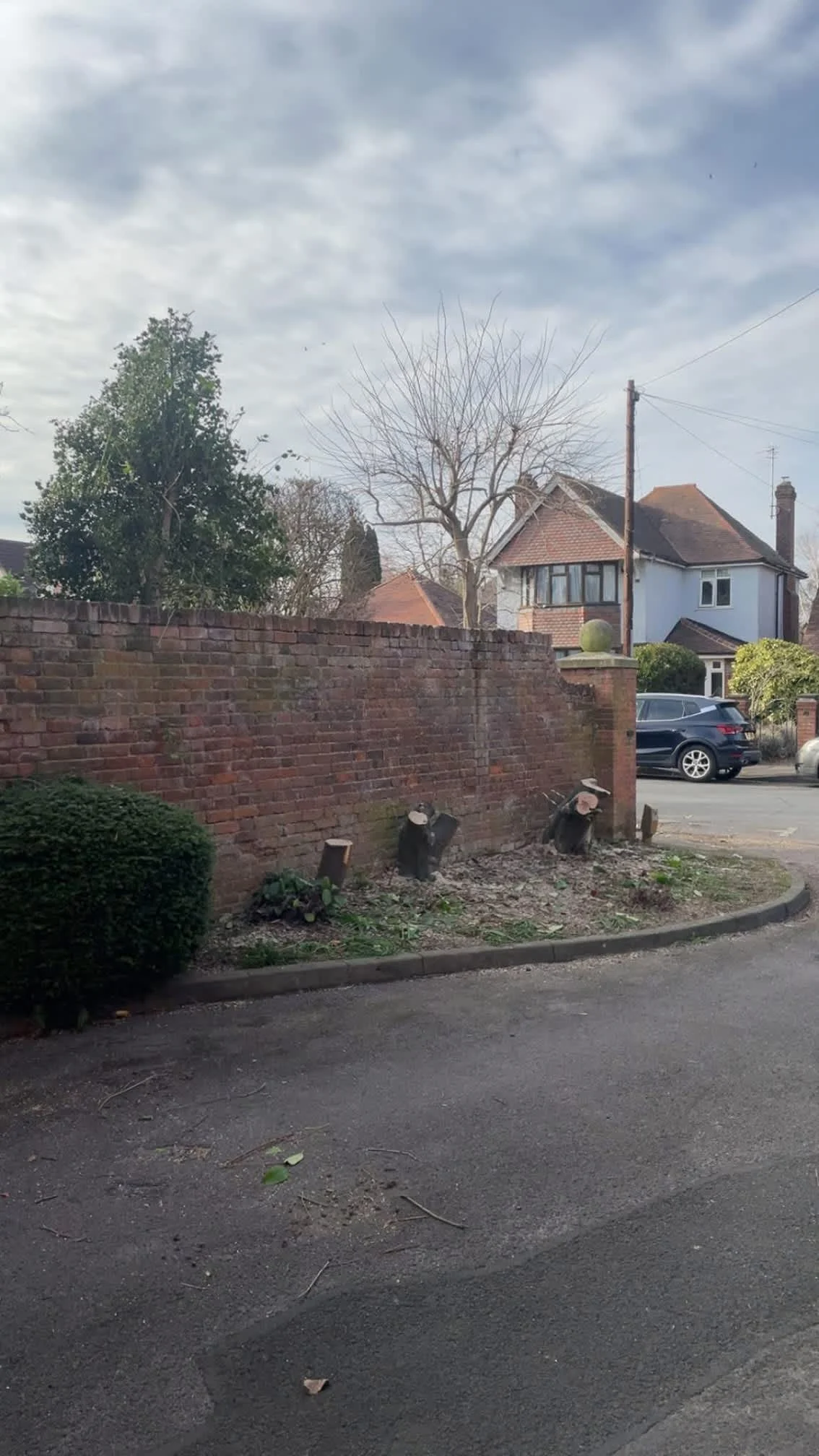 Images Oakwood Tree & Landscaping Services