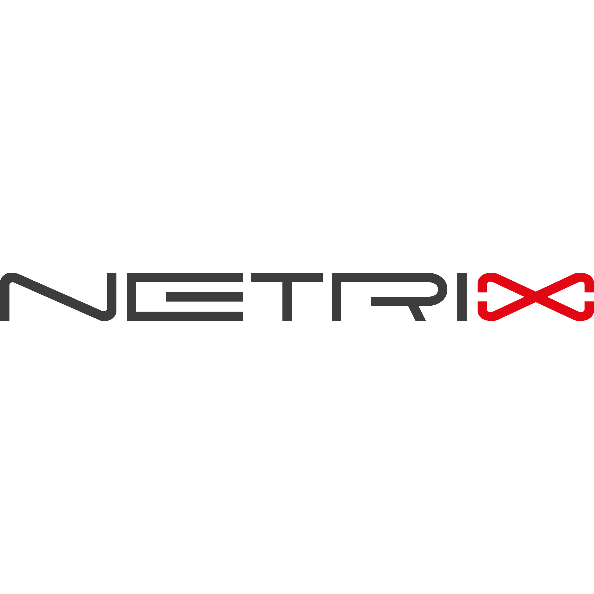 NetriX GmbH Logo