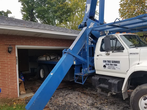 Images Cox Tree Service