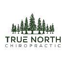 True North Chiropractic Logo