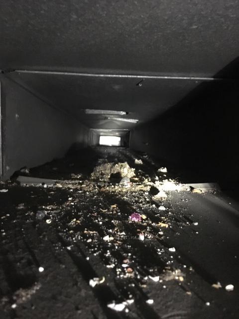 Air duct full of debris. Can you imagine having your homes air filter through all of this?