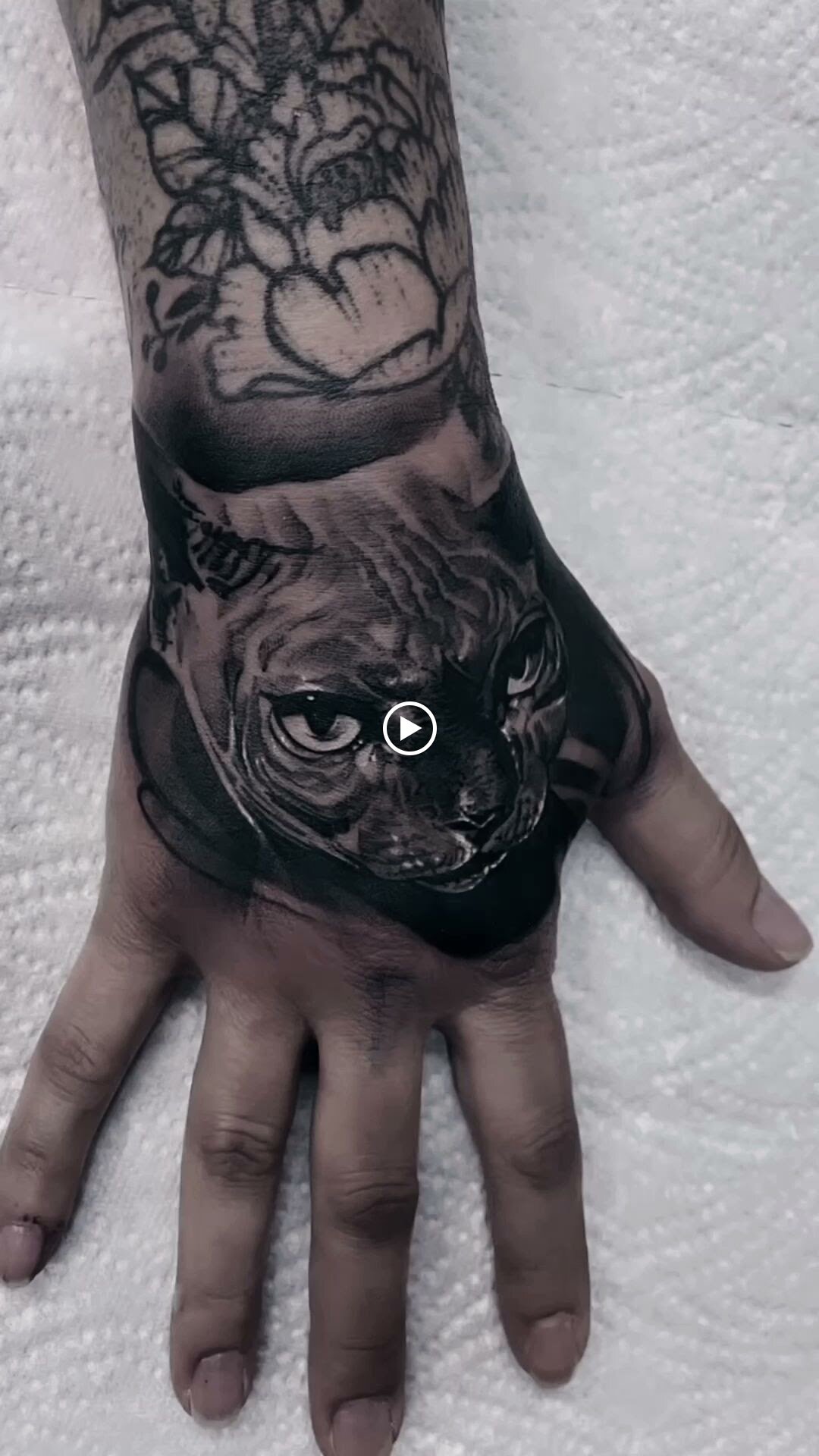 Bilder Old Capital Tattoo & Lifestyle