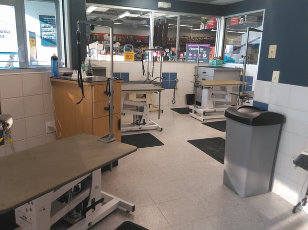 Images Petco Grooming