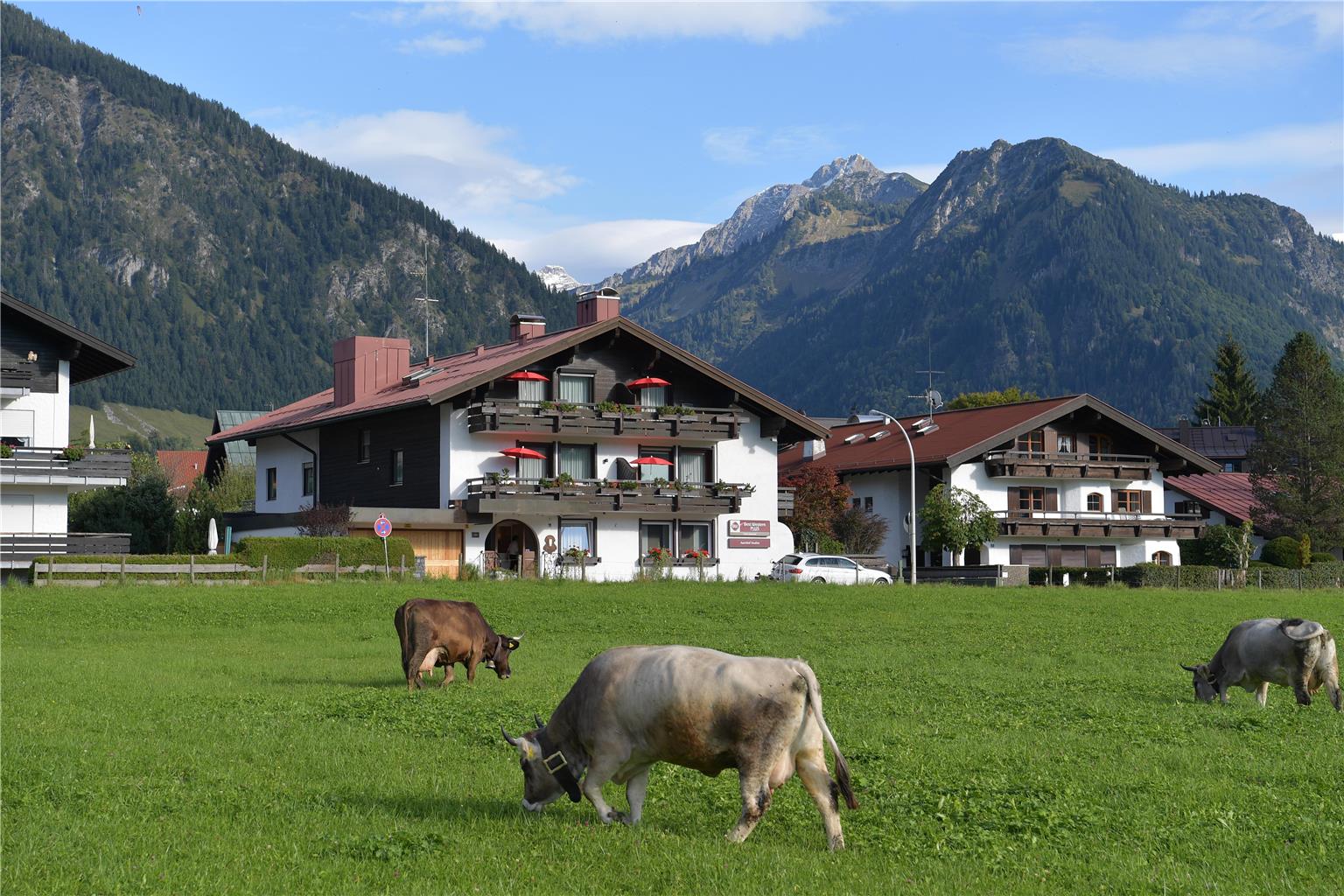 Bild 6 Alpenhof Oberstdorf Hotel & Spa, BW Signature Collection in Oberstdorf