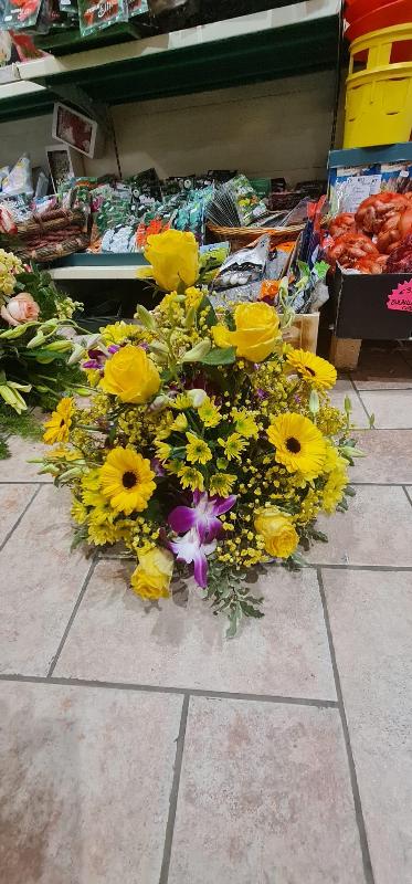 Images Agraria Hobby Verde