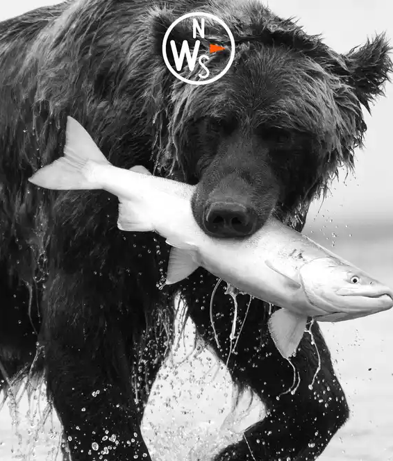 Images Natural World Safaris Ltd