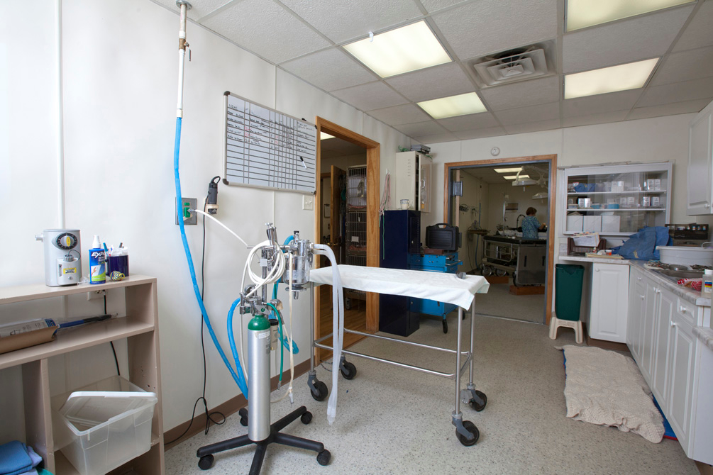 Our treatment area is equipped with all necessary amenities, as well as an anesthesia machine, to prep patients prior to surgery. Our medical team strives to make every patient as comfortable as possible before surgery and in treatment.