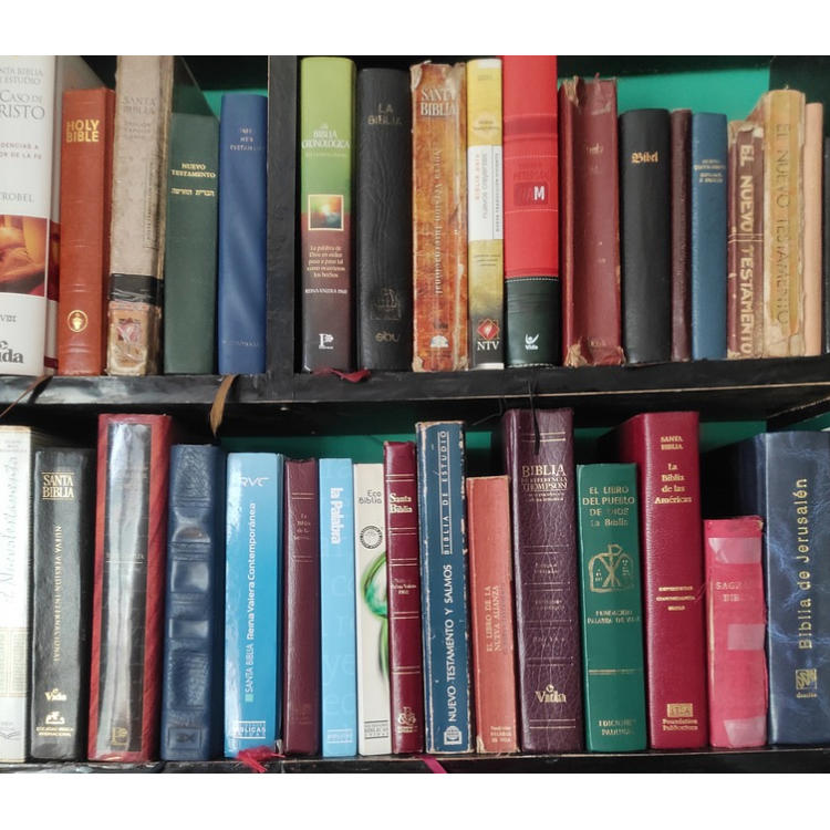 Galería en miniatura