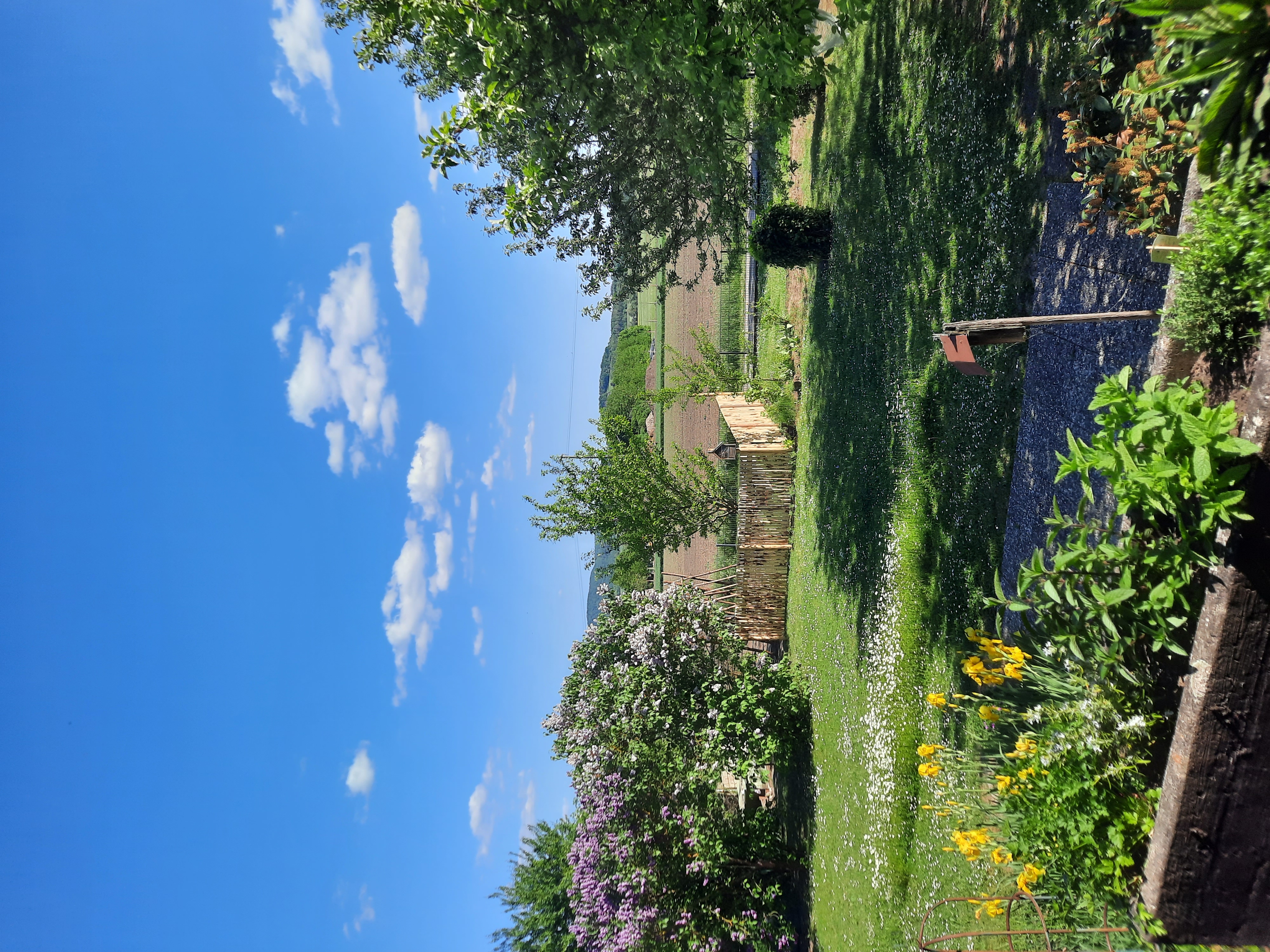 Benni's Service, Friedrich-Rückert-Straße 15 in Hofheim