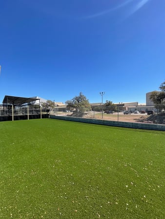 Images Waterloo Turf Austin