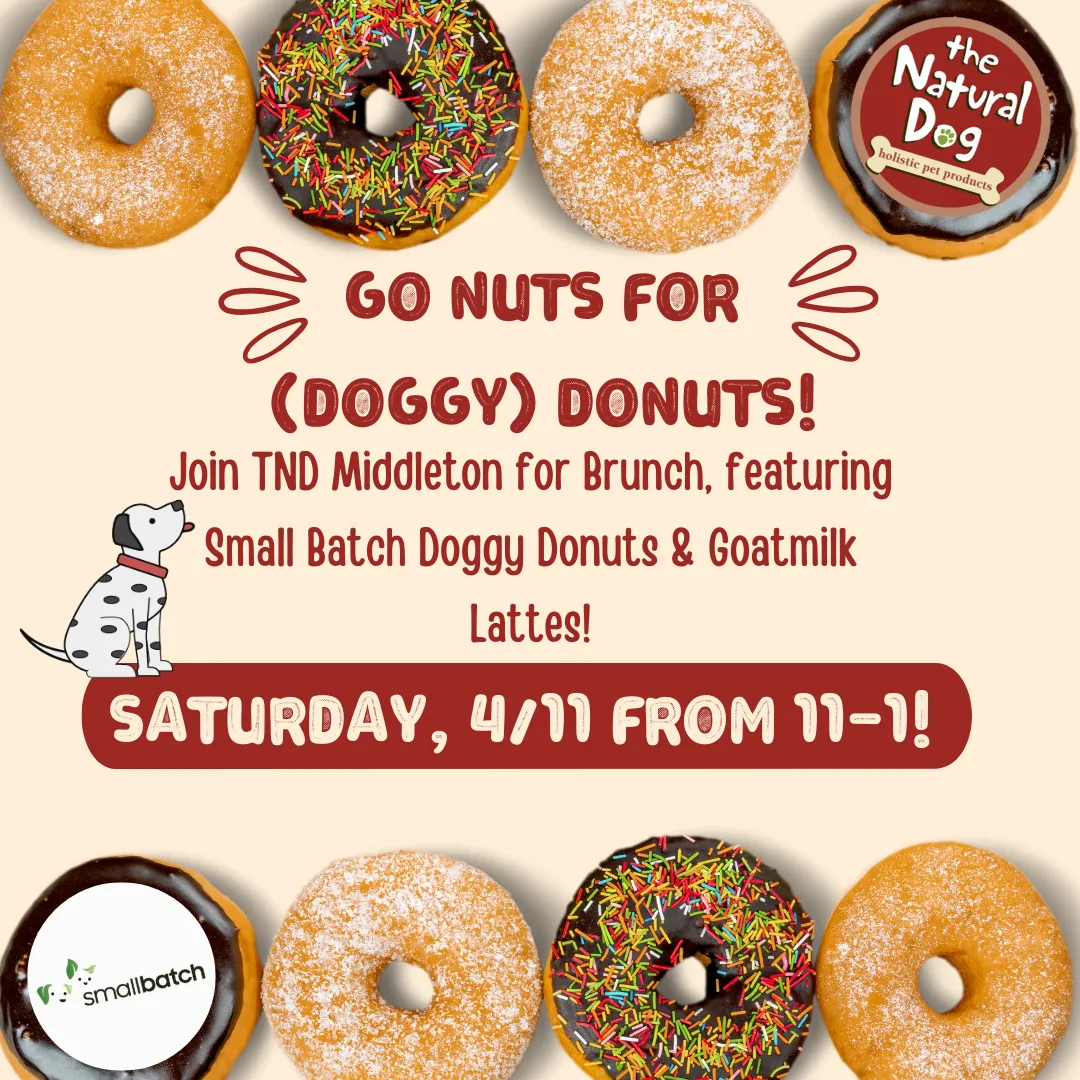 Image of Local Pet Event Doggy Donut Brunch in Middleton Nearby