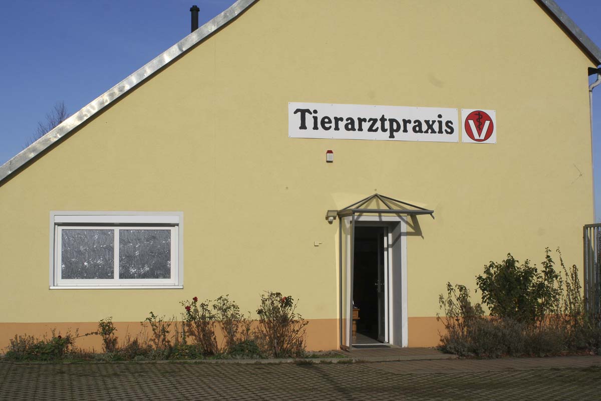 Dr. Barbara Hoffmann Tierarztpraxis in Grimma - Logo