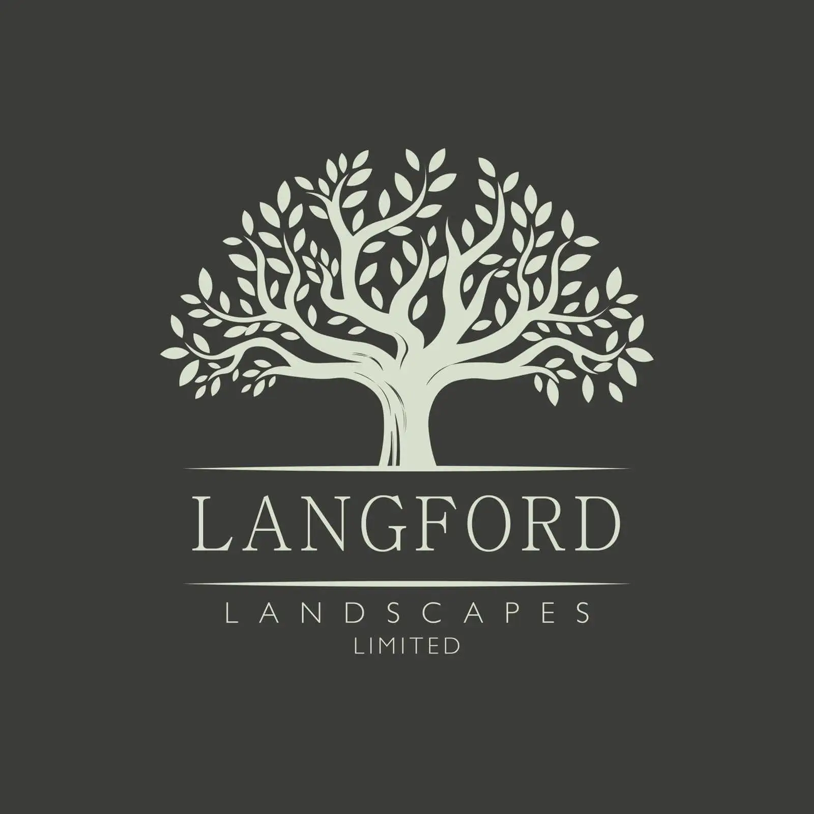 company logo