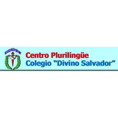 COLEGIO DIVINO SALVADOR S.L. Vigo