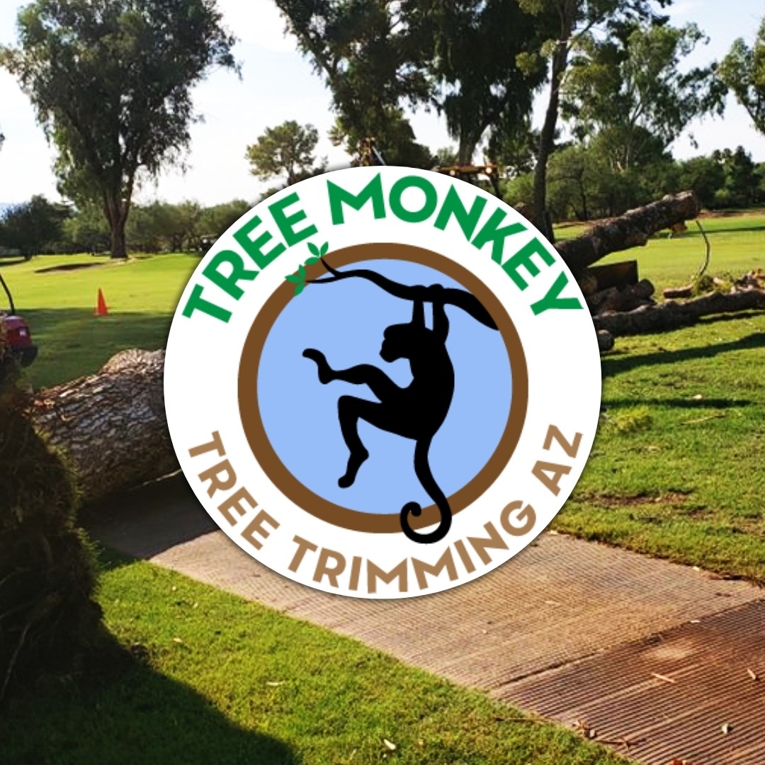 Tree Monkey Trees AZ LLC